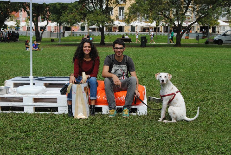 dogs and the city (10)