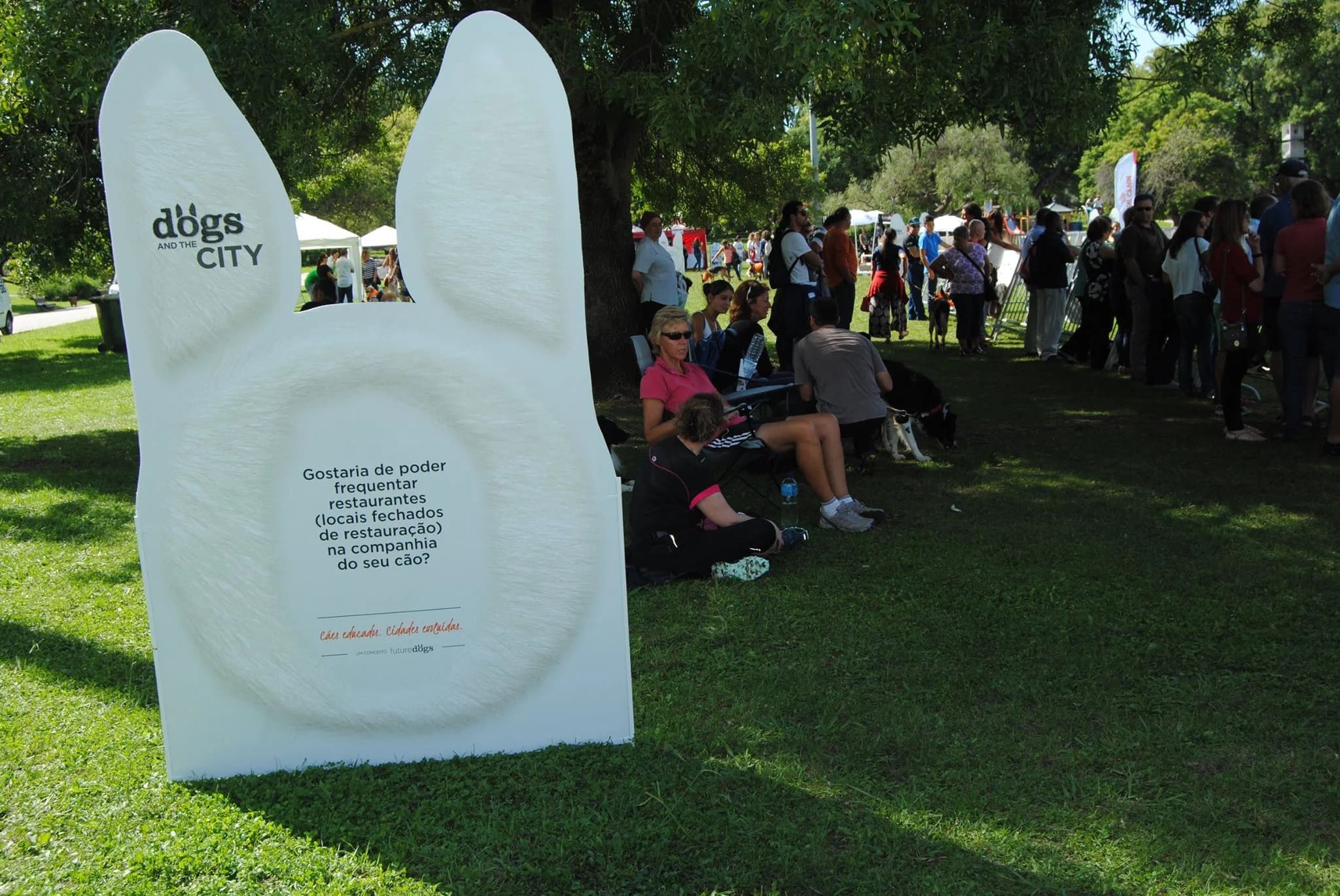 dogs and the city (11)