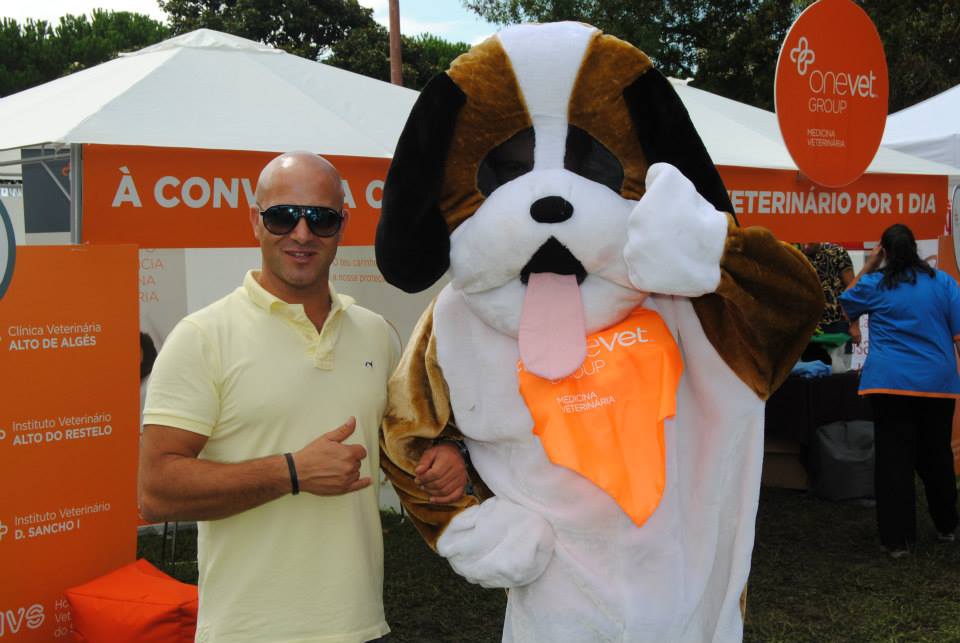 dogs and the city (2)