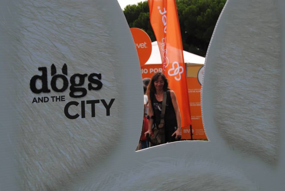 dogs and the city (3)