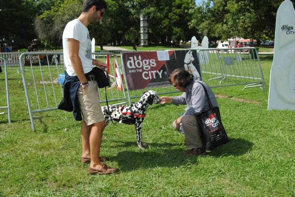 dogs and the city (4)